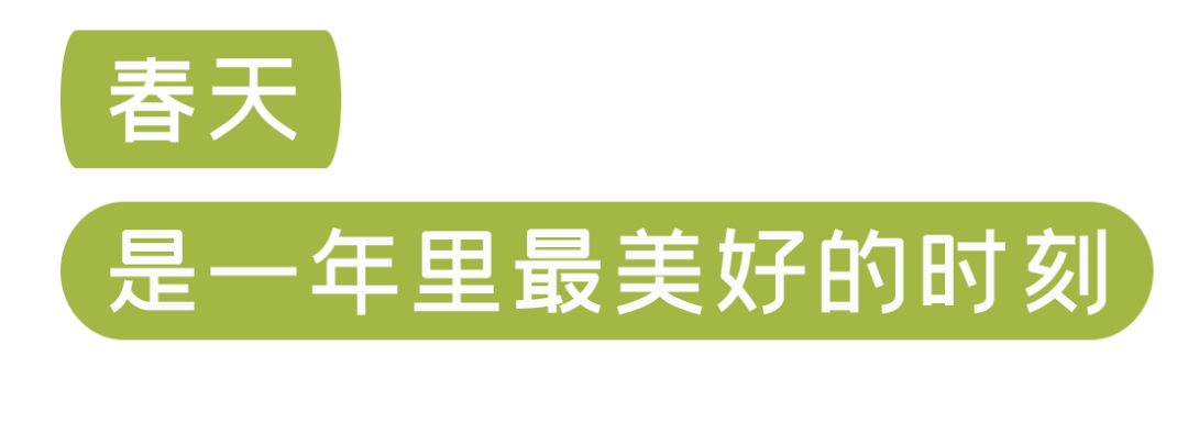 春來踏青，華美相隨【內(nèi)有福利活動】